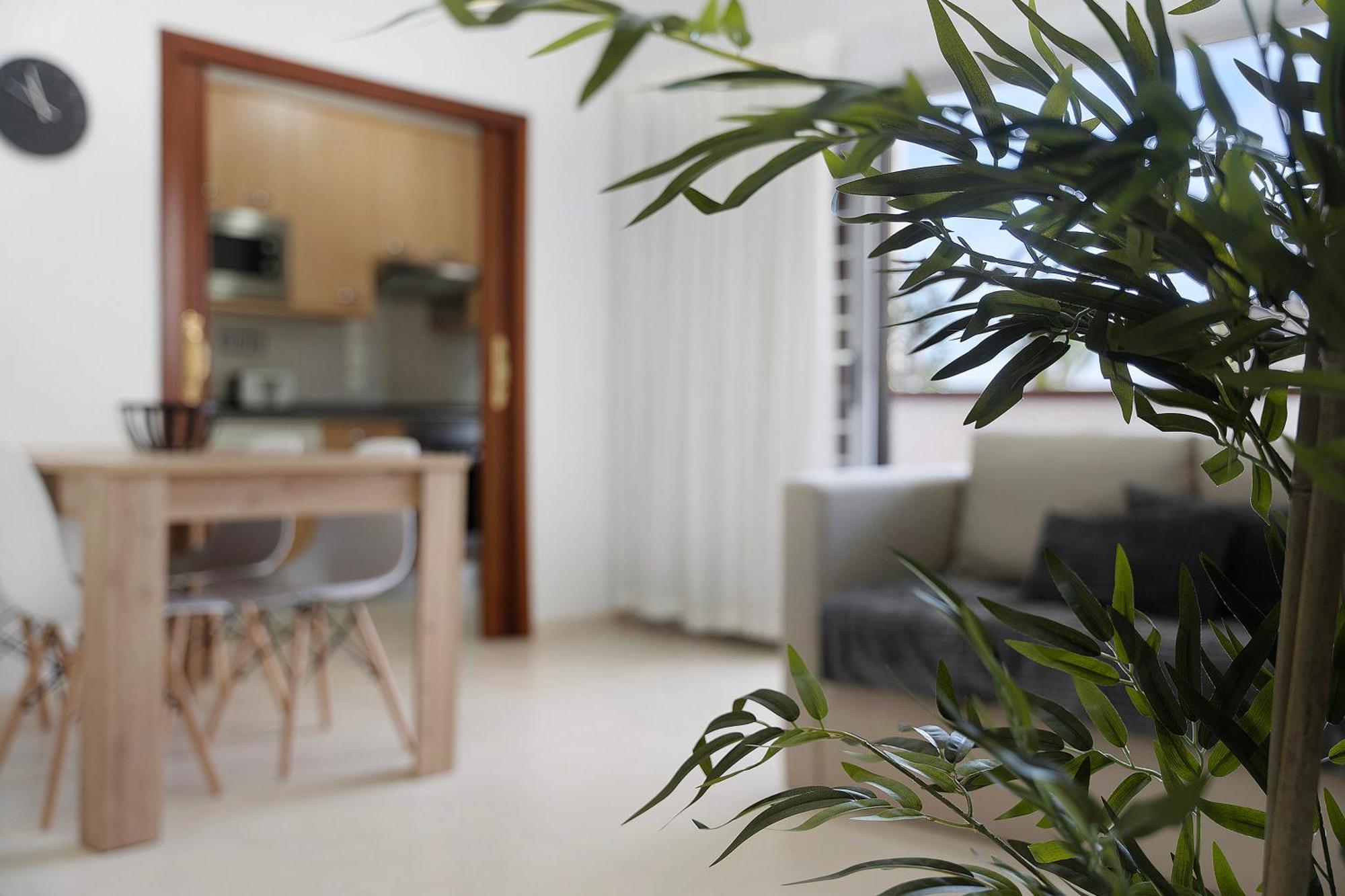 Apartamento Opuntia La Orotava Exterior foto